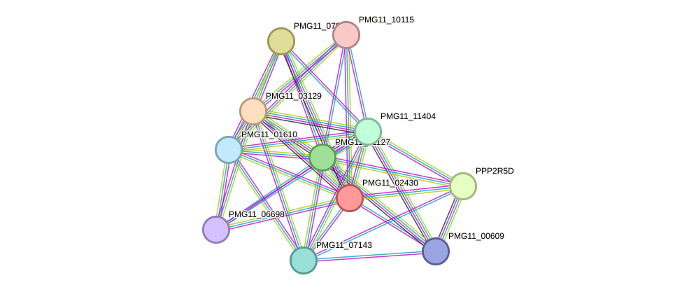 STRING protein interaction network