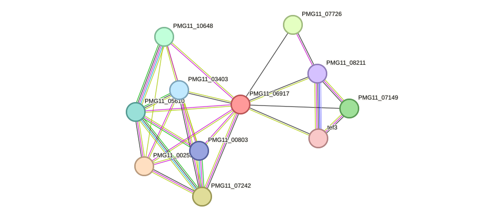 STRING protein interaction network