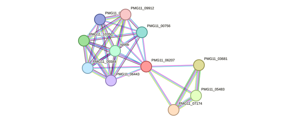 STRING protein interaction network