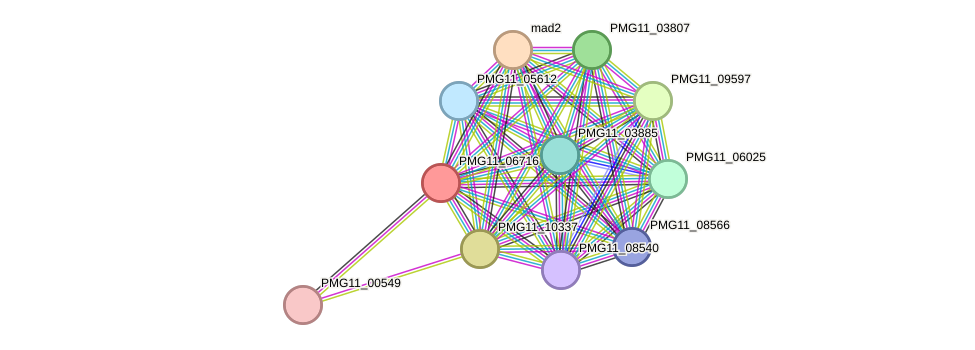 STRING protein interaction network