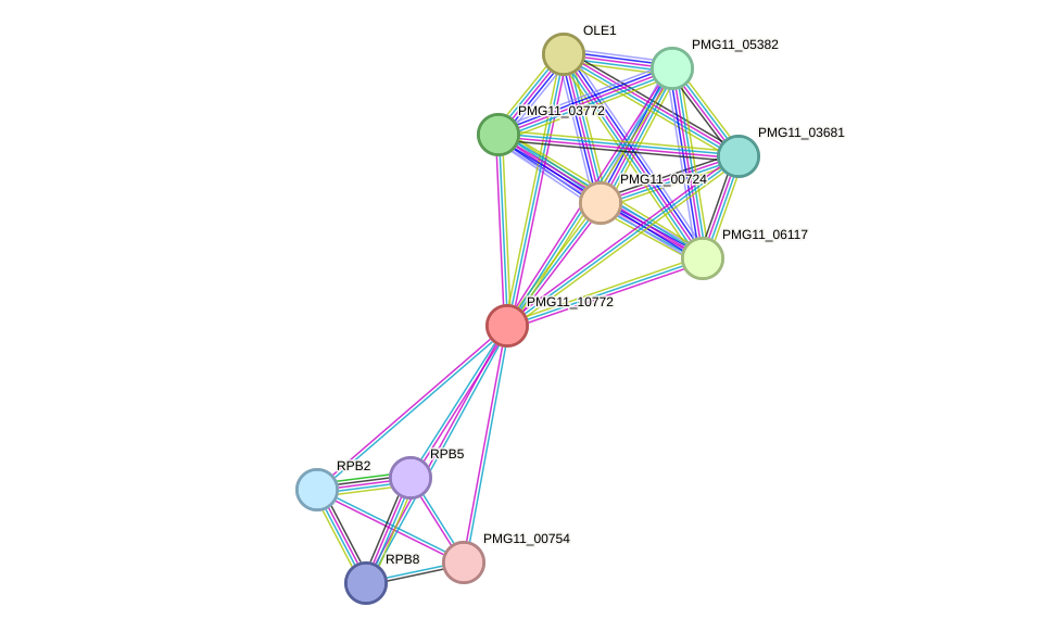 STRING protein interaction network