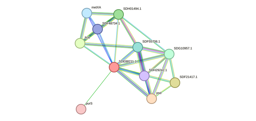 STRING protein interaction network