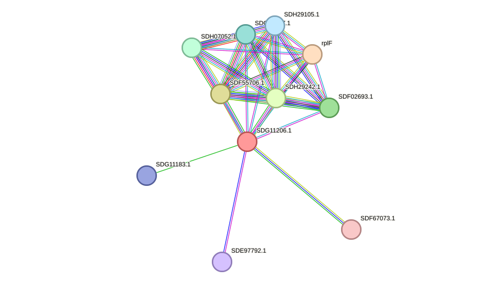 STRING protein interaction network