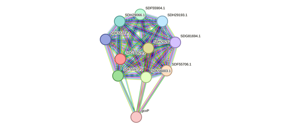 STRING protein interaction network