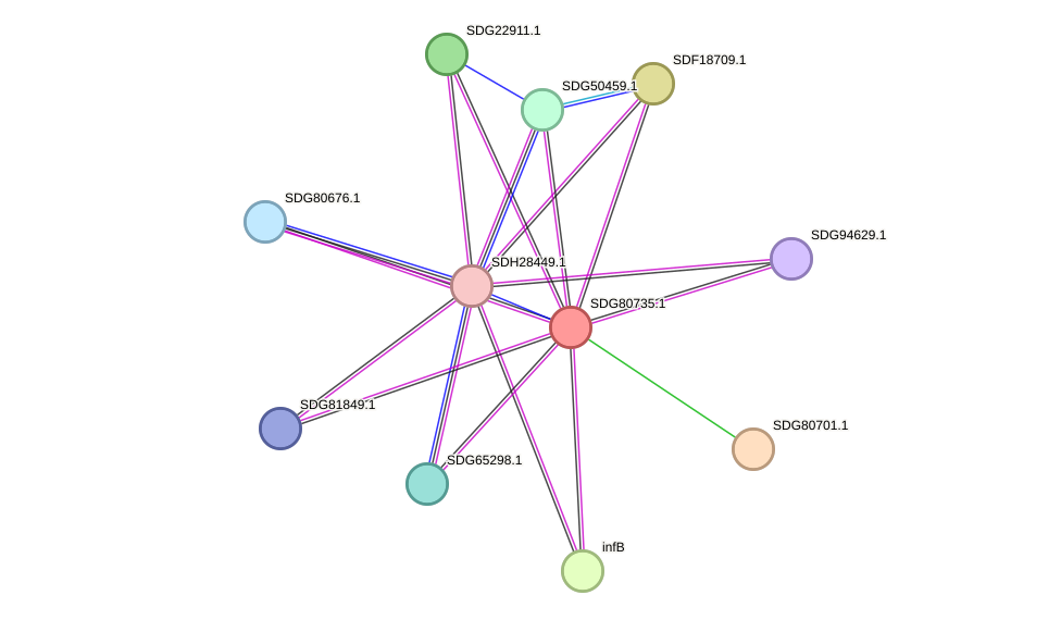 STRING protein interaction network