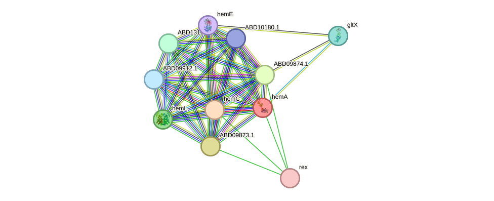 STRING protein interaction network