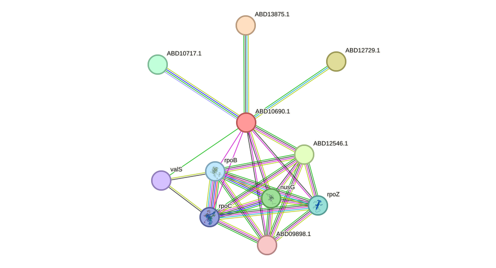 STRING protein interaction network