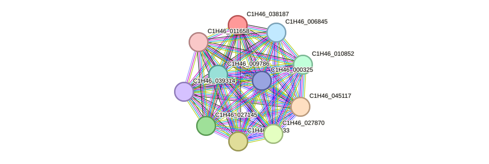 STRING protein interaction network