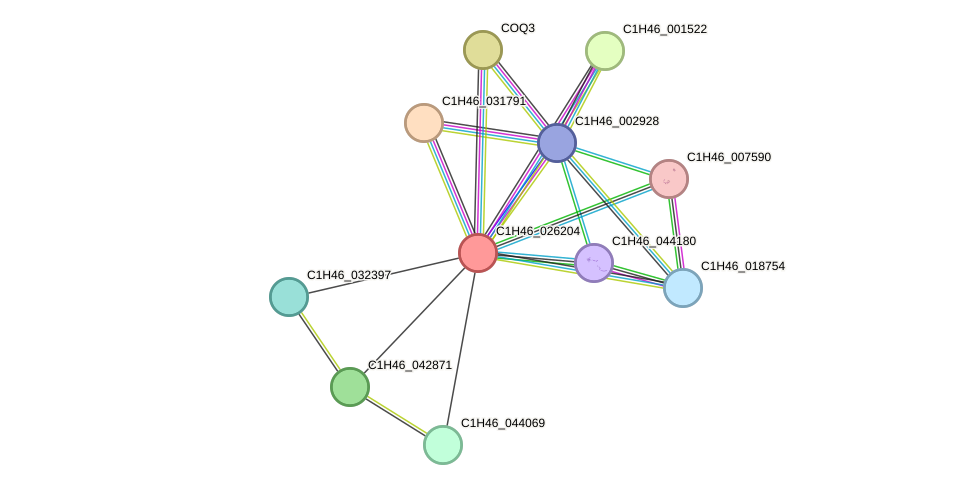 STRING protein interaction network