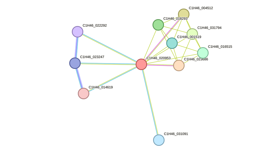 STRING protein interaction network