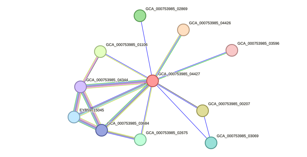 STRING protein interaction network