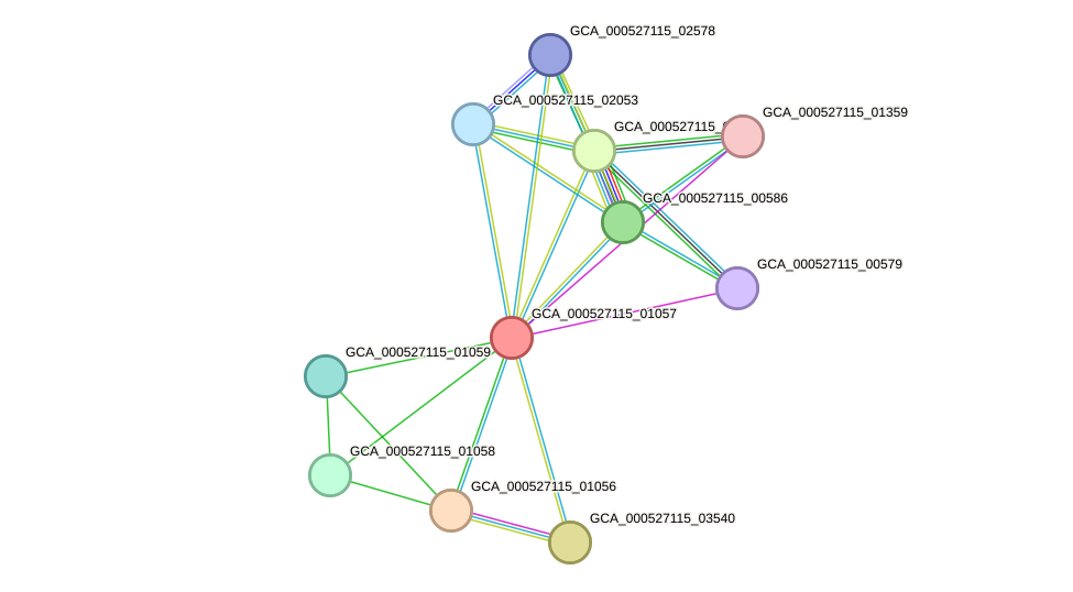 STRING protein interaction network