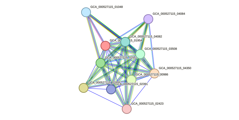 STRING protein interaction network