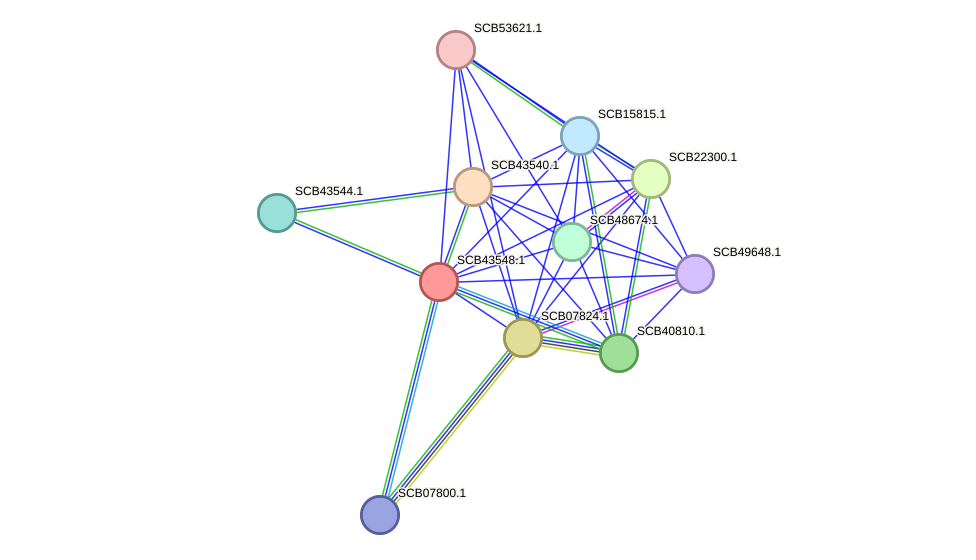 STRING protein interaction network