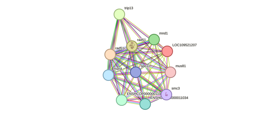 STRING protein interaction network