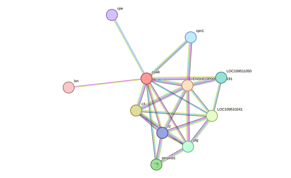 STRING protein interaction network