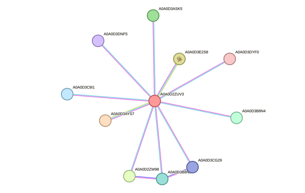 STRING protein interaction network