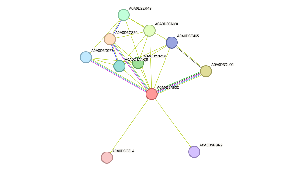 STRING protein interaction network