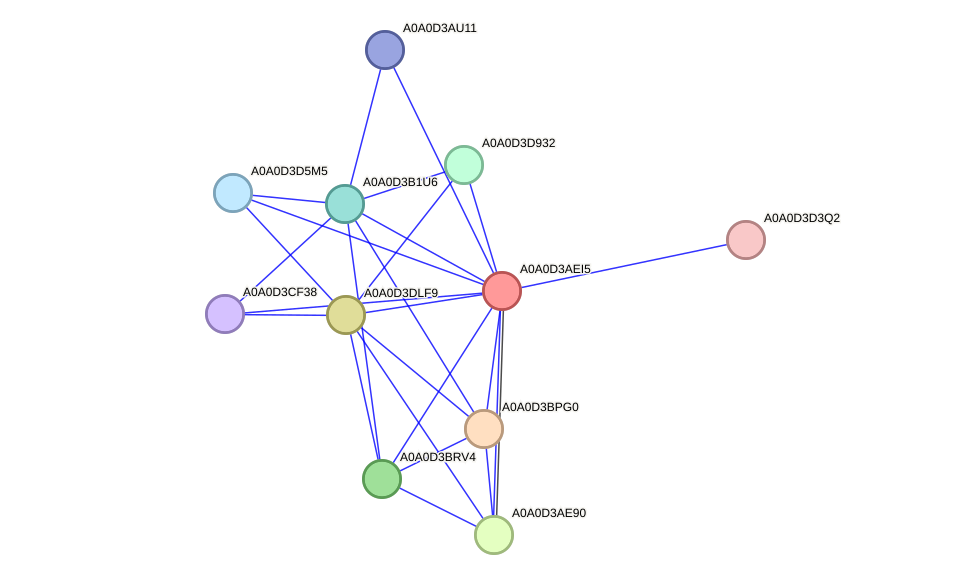 STRING protein interaction network