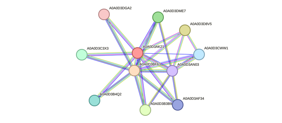 STRING protein interaction network