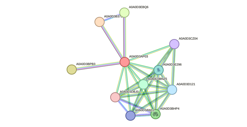 STRING protein interaction network