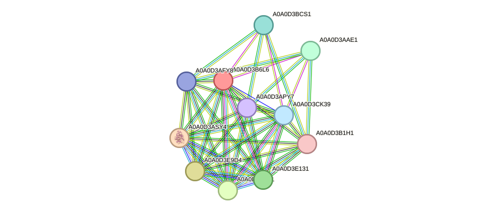 STRING protein interaction network