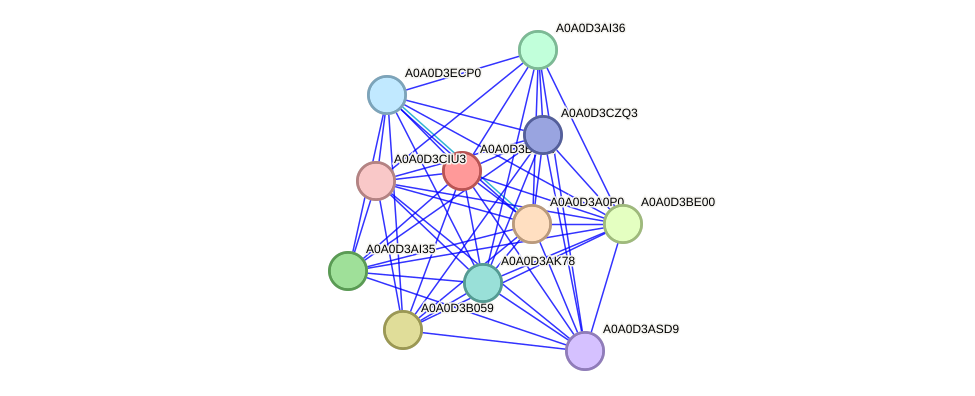 STRING protein interaction network