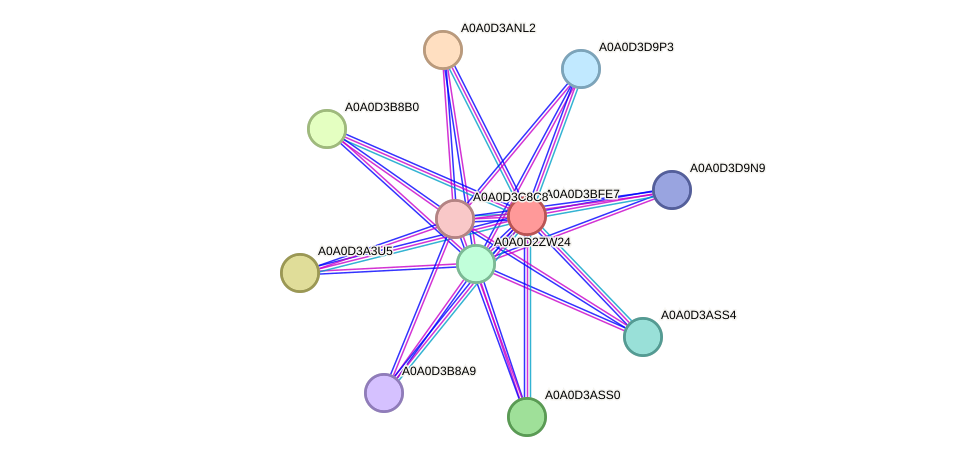 STRING protein interaction network