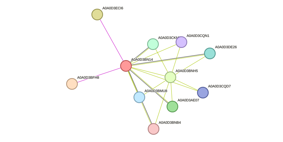 STRING protein interaction network