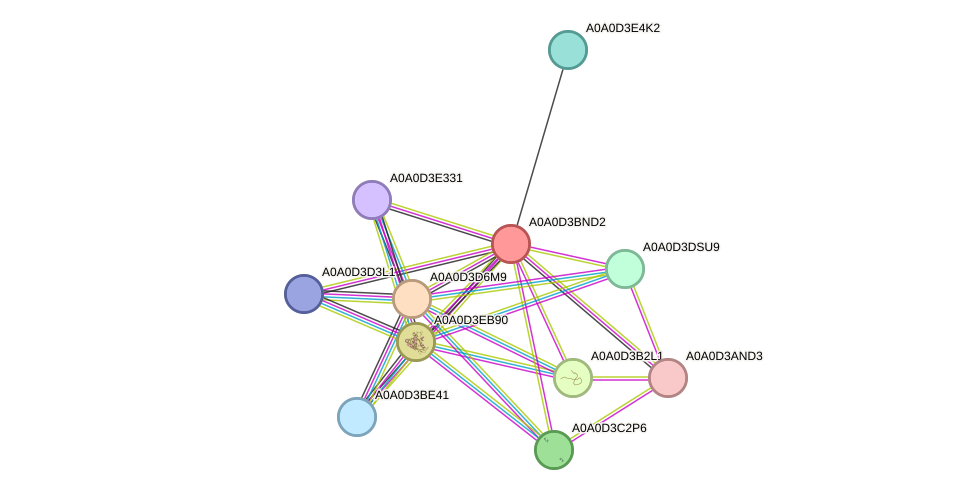 STRING protein interaction network