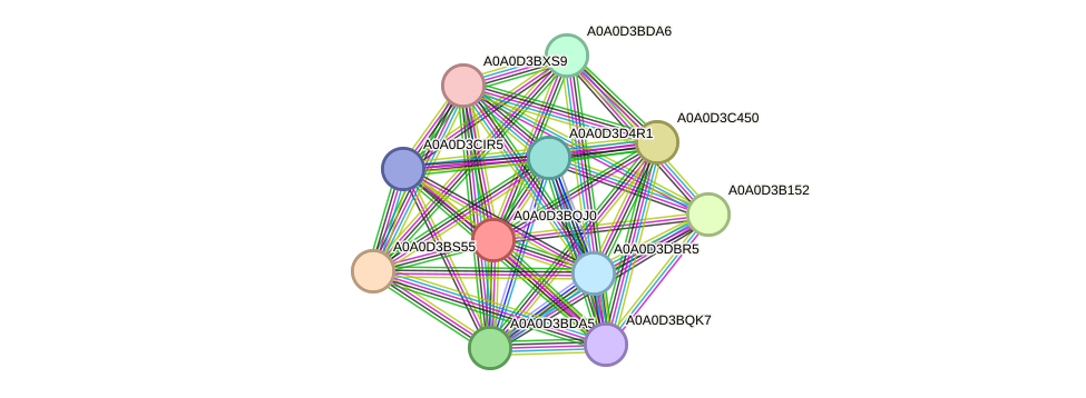 STRING protein interaction network