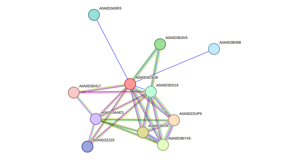 STRING protein interaction network