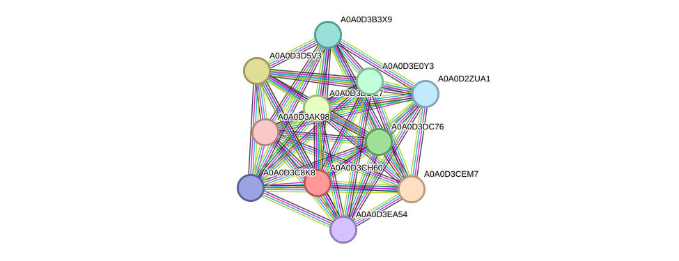 STRING protein interaction network