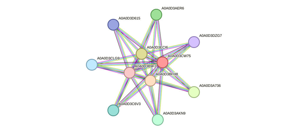 STRING protein interaction network