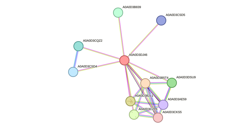 STRING protein interaction network