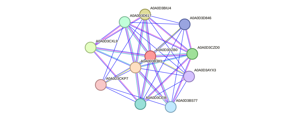 STRING protein interaction network