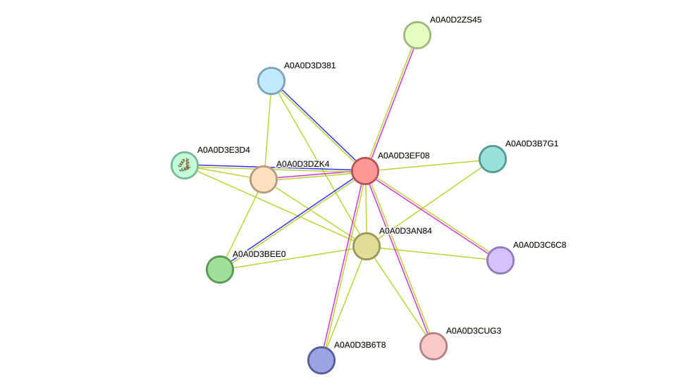 STRING protein interaction network