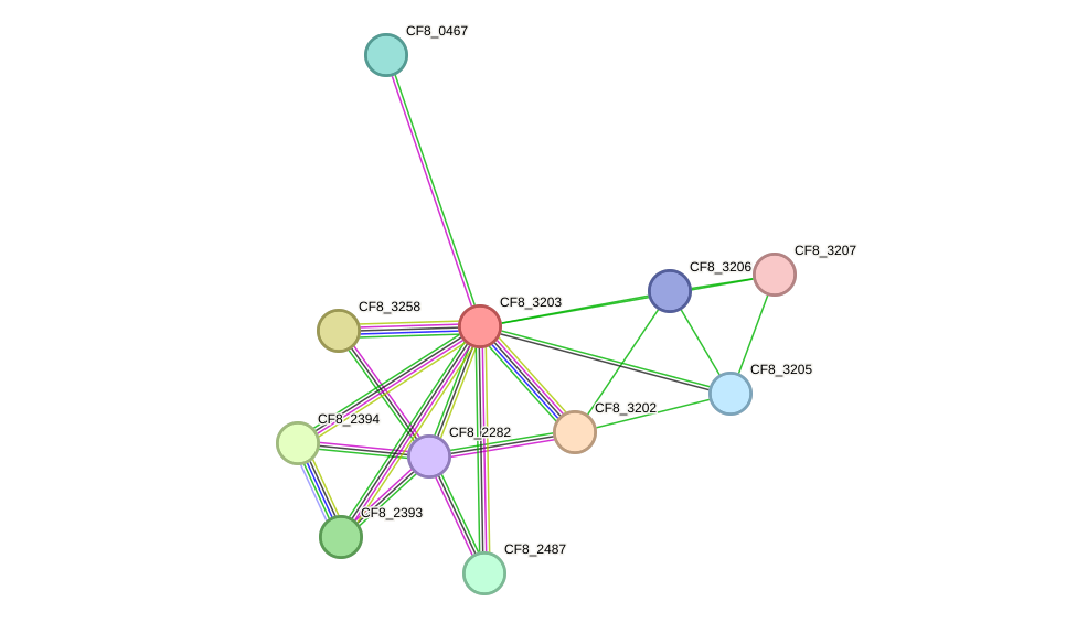 STRING protein interaction network