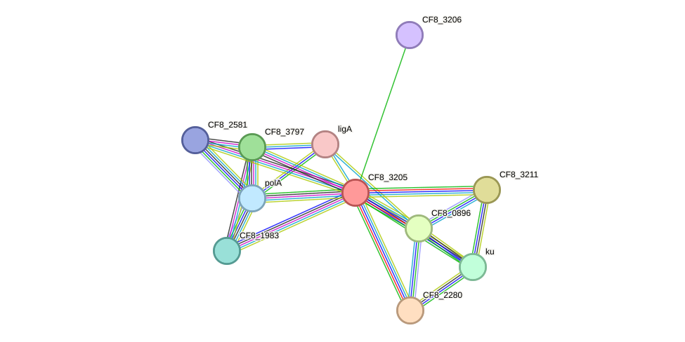 STRING protein interaction network