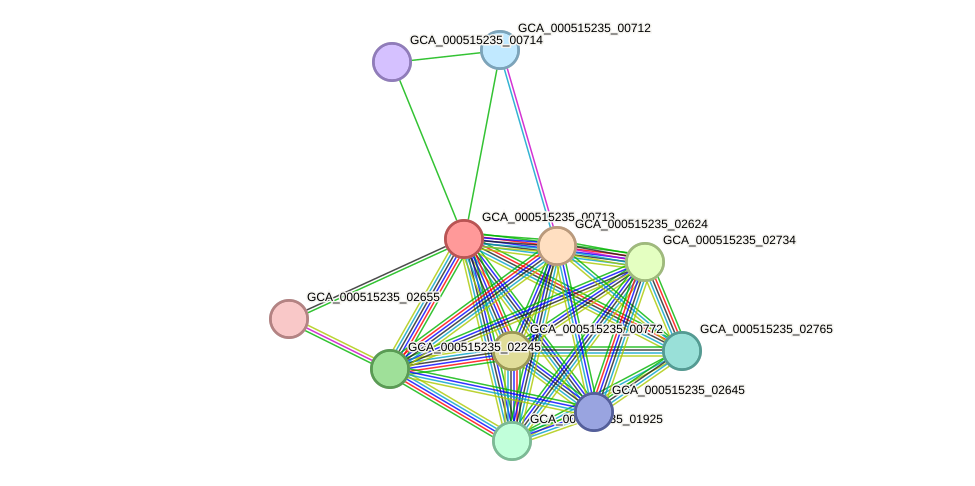 STRING protein interaction network