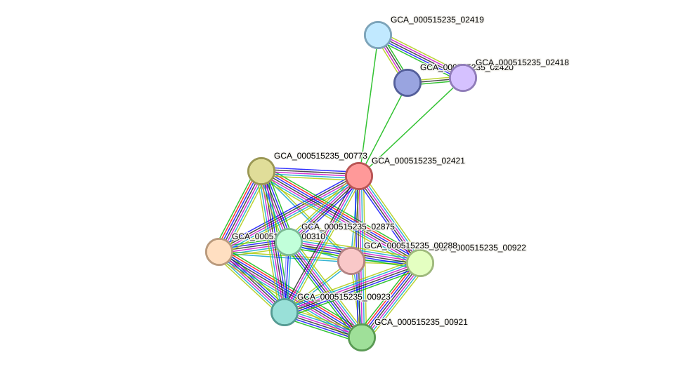 STRING protein interaction network