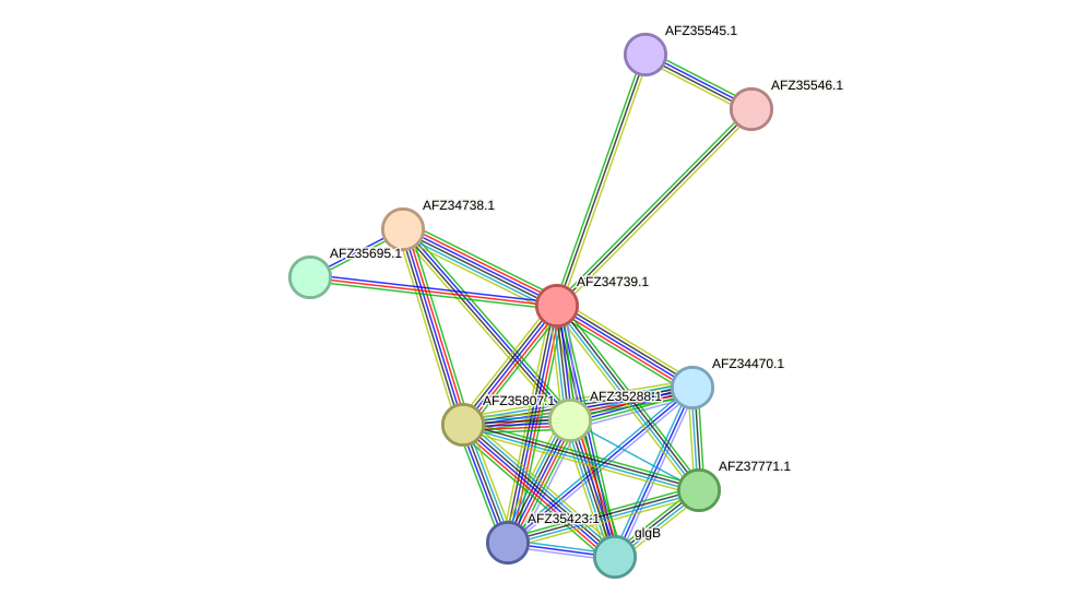 STRING protein interaction network