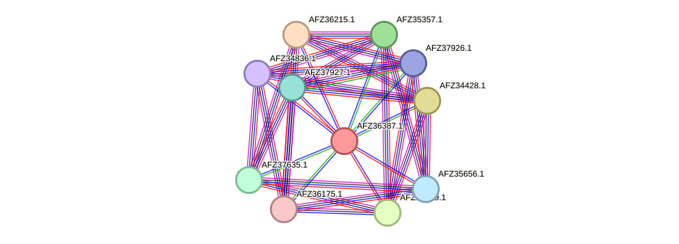 STRING protein interaction network