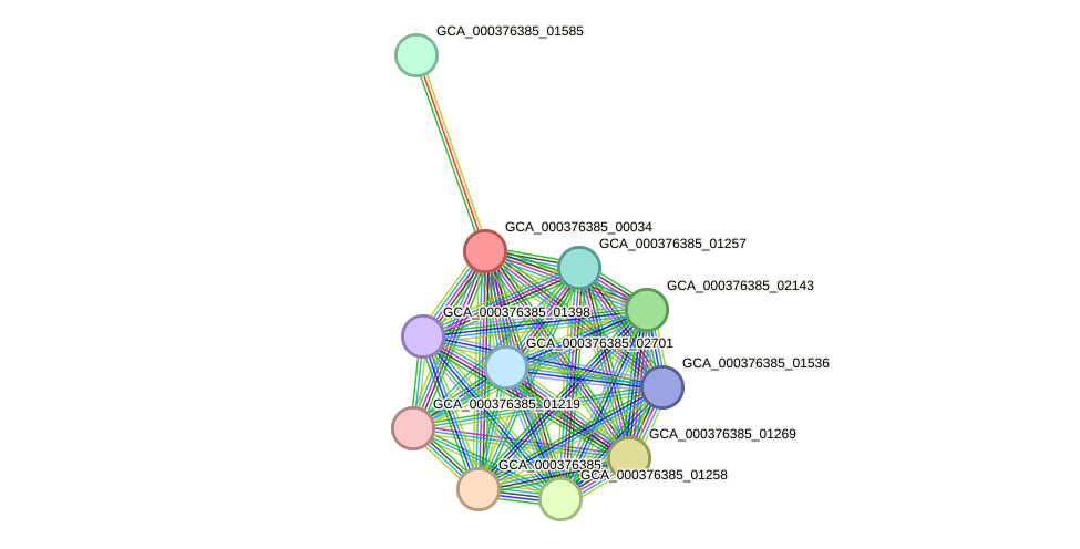 STRING protein interaction network