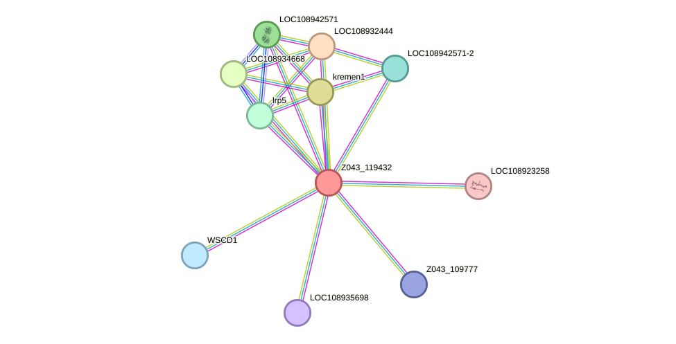 STRING protein interaction network