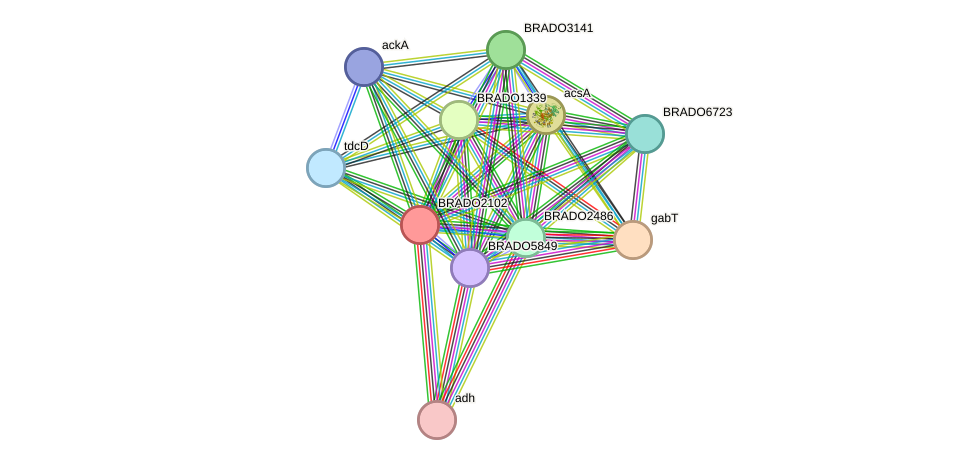 STRING protein interaction network