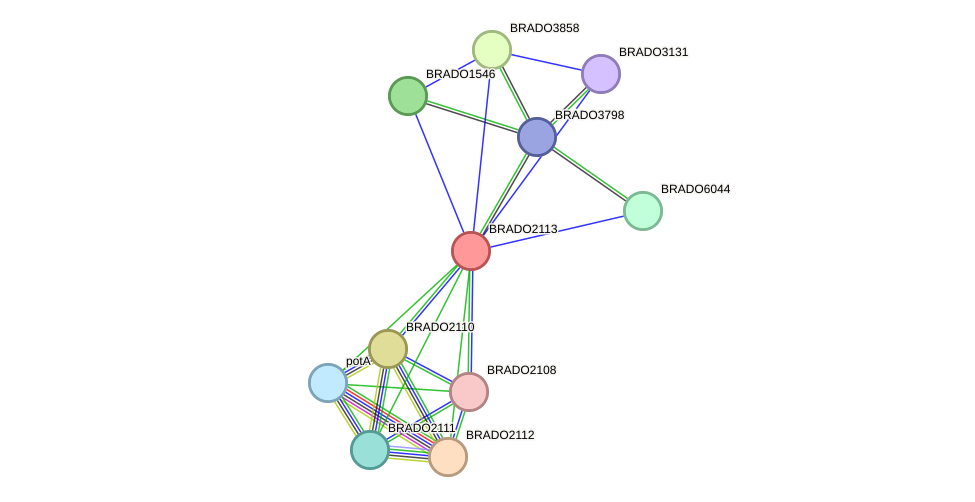 STRING protein interaction network