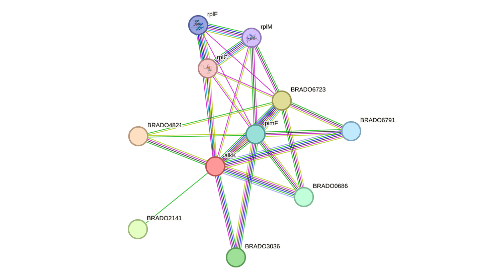 STRING protein interaction network