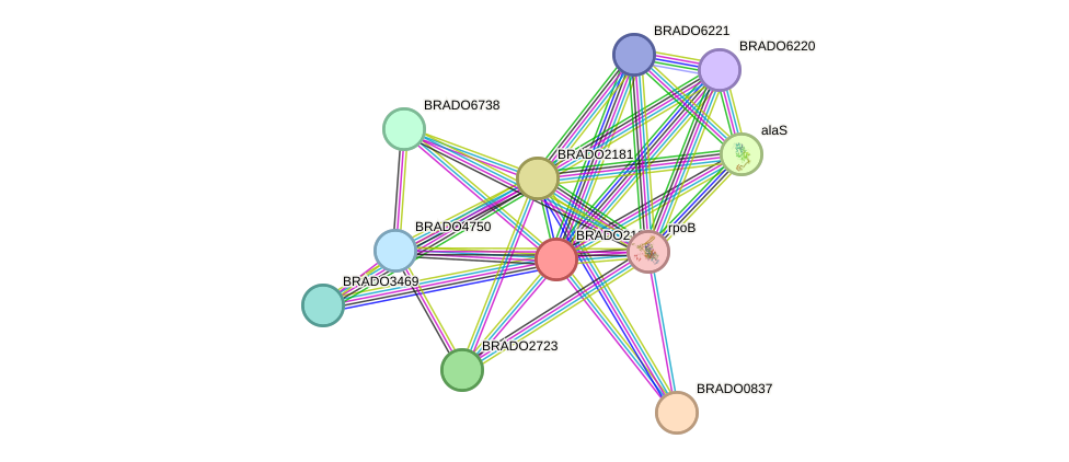 STRING protein interaction network