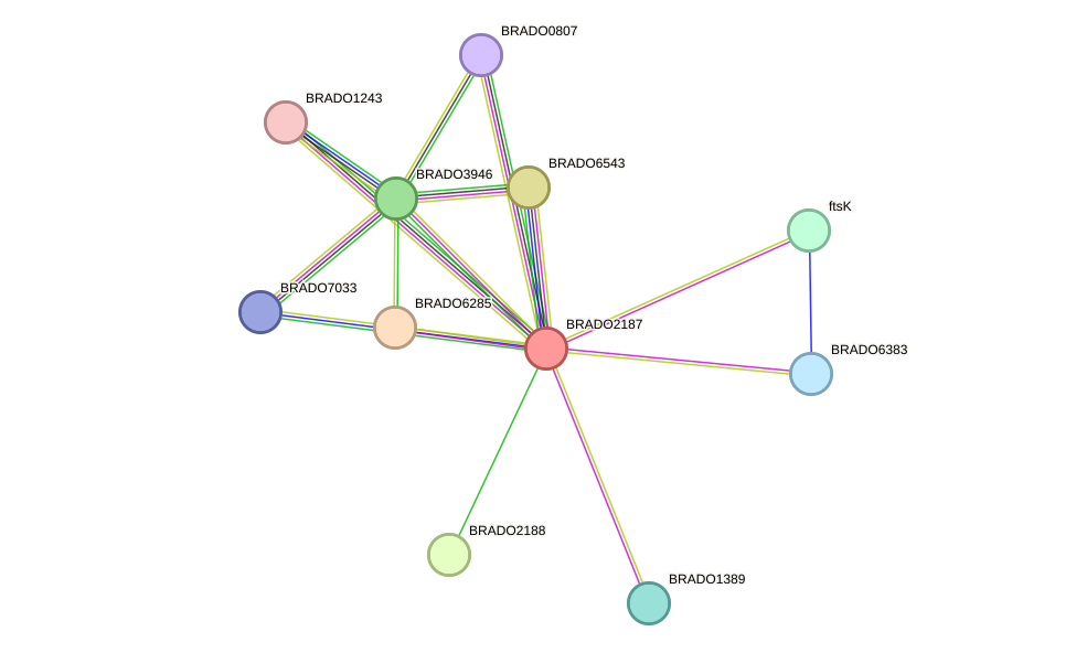 STRING protein interaction network